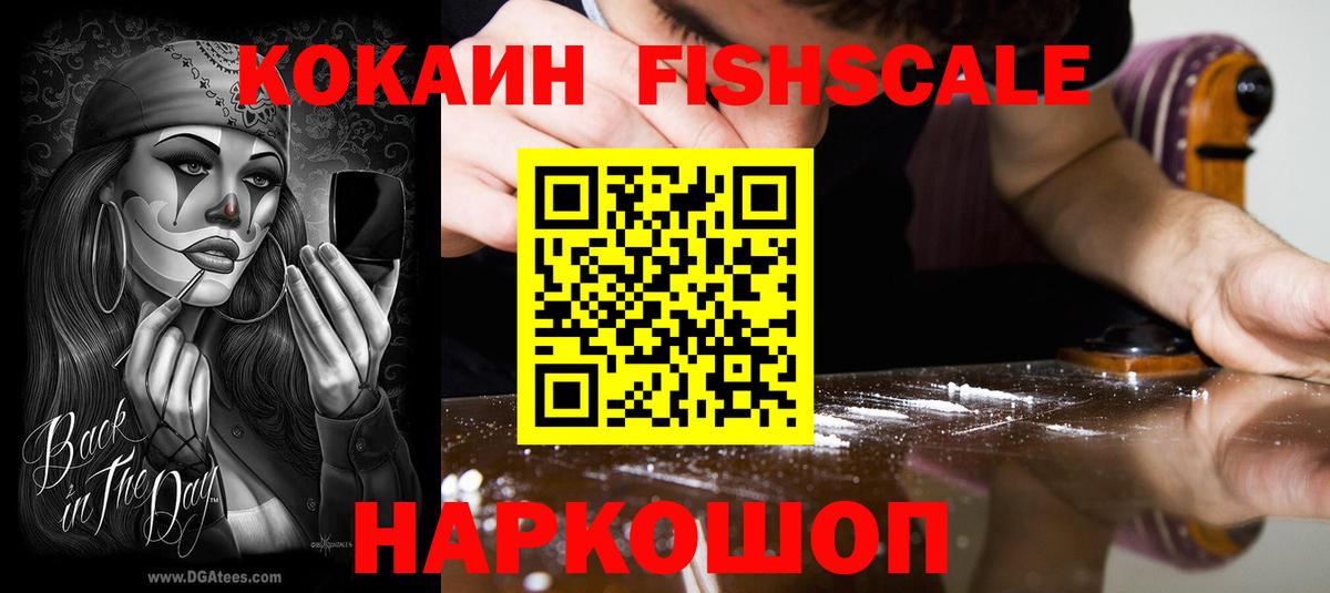 Кокаин FishScale  Cocaine Эквадор  где купить наркоту  Братск 
