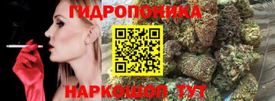 крисы Беслан