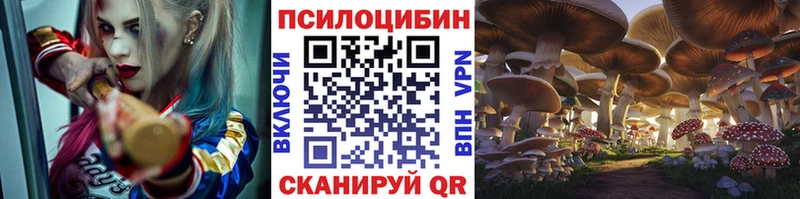 Галлюциногенные грибы ЛСД купить наркотики сайты Братск