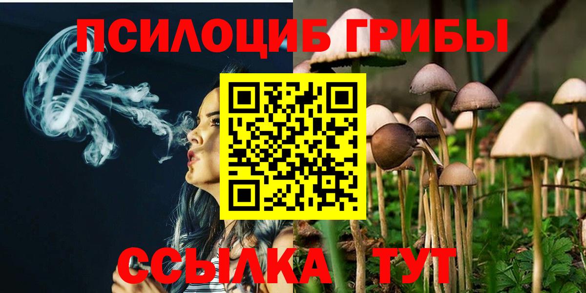 Братск  Галлюциногенные грибы Cubensis  купить  цена  Вход с VPN 